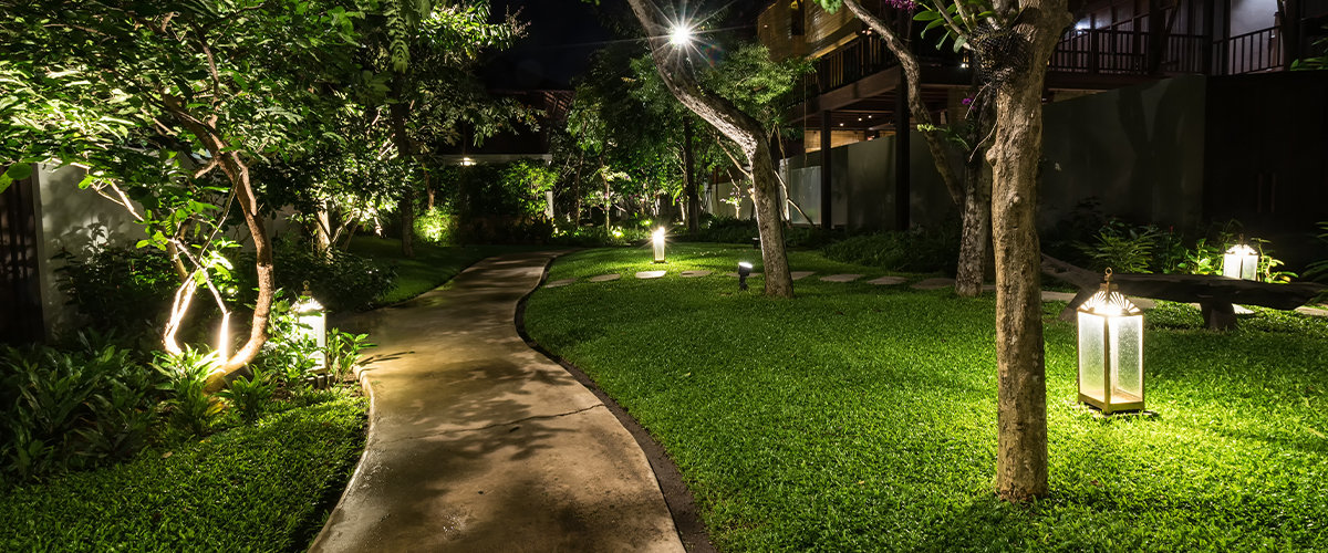 Moonlight lighting up a pathway in backyard